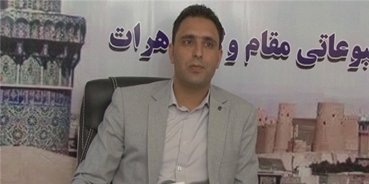 رییس اداره محیط زیست هرات: کمربند سبز هرات در نتیجه قطع درختان تخریب شده است