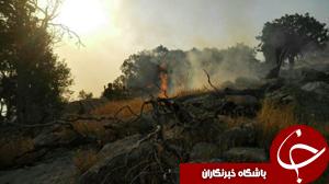 دلا همچنان می سوزد