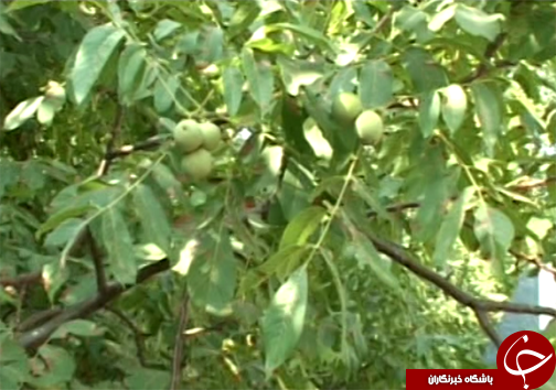 سراب کهمان، جلوه ای از هنرنمایی طبیعت در لرستان