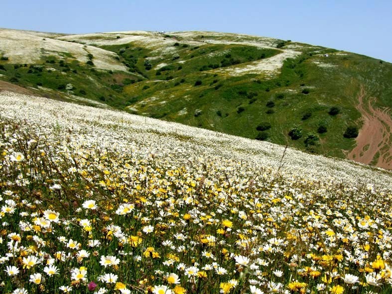 راهنمای سفر به اردبیل/ اماکن دیدنی/ هتل ها + تصاویر راهنمای سفر به اردبیل/ اماکن دیدنی/ هتل ها + تصاویر