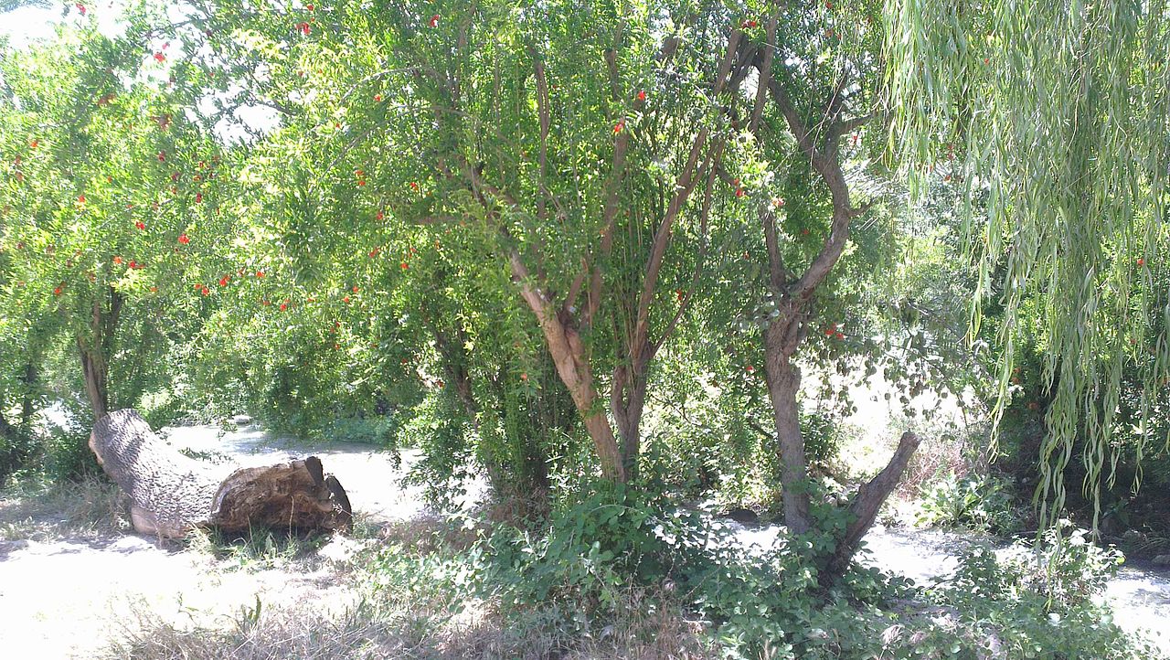 راهنمای سفر به کهکیلویه و بویراحمد/اماکن دیدنی / هتلها + عکس راهنمای سفر به کهکیلویه و بویراحمد/اماکن دیدنی / هتلها + عکس