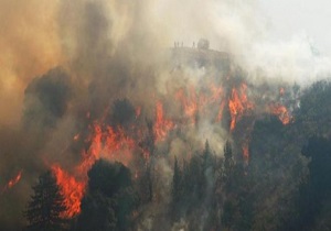 آوارگی بیش از 2 هزار نفر در پی آتش‌سوزی در جنوب غربی اسپانیا