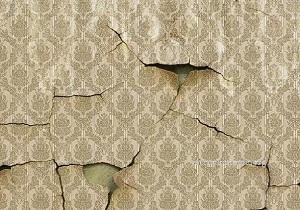 کاغذ دیواری ها پرورش دهنده سموم هستند!