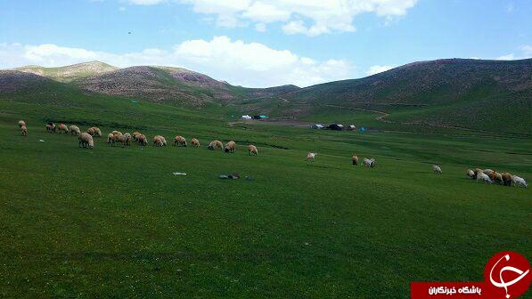 طبیعت زیبای تخت سرطشتک در قاب تصویر