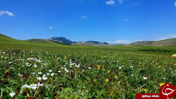 طبیعت زیبای تخت سرطشتک در قاب تصویر