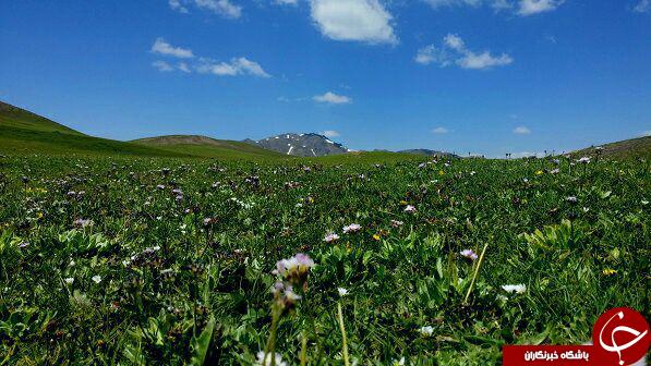 طبیعت زیبای تخت سرطشتک در قاب تصویر