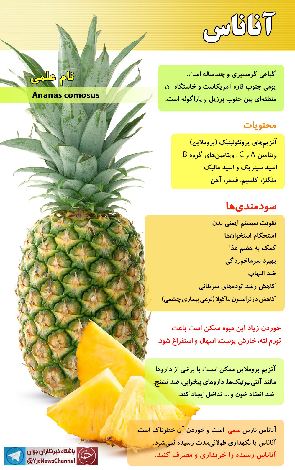 خواص باورنکردنی آناناس/اینفوگرافی