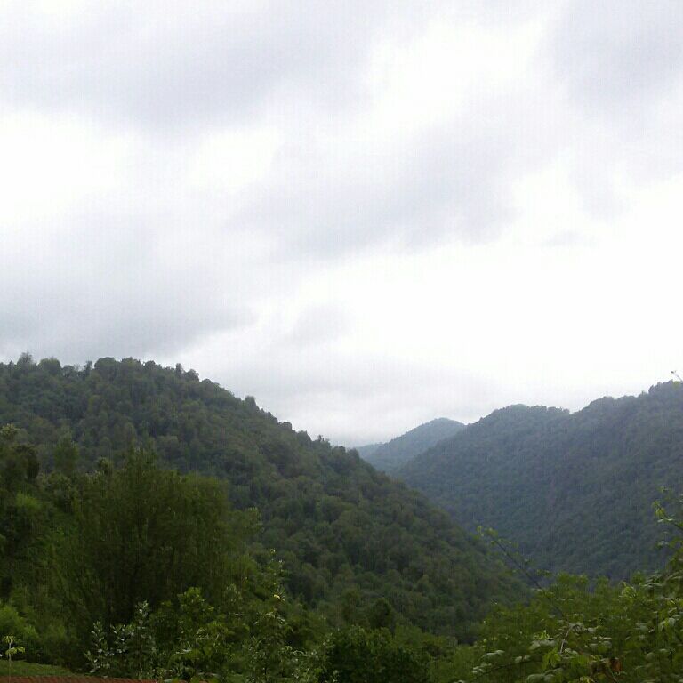 ادامه ابرناکی آسمان و بارندگی در گیلان تا فردا