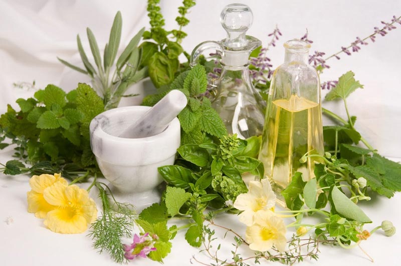 با این دارو&zwnj;های گیاهی اثرات مخرب شامپو&zwnj;های شیمیایی را رفع کنید
