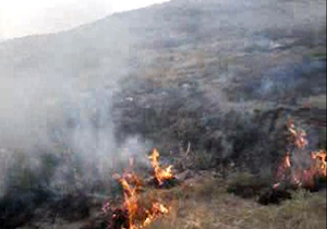 آتش‌سوزی مراتع کرمجگان قم + فیلم