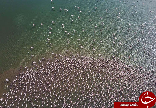 تصاویر روز: از آغاز انتخابات ریاست جمهوری مغولستان تا آتش&zwnj;سوزی در جنگل&zwnj;های اسپانیا