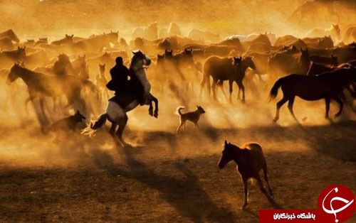 تصاویر روز: از آغاز انتخابات ریاست جمهوری مغولستان تا آتش&zwnj;سوزی در جنگل&zwnj;های اسپانیا