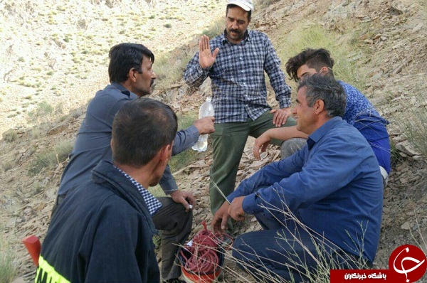 نجات  نوجوان گرفتارشده درارتفاعات علی بلاغی