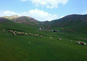 بسته
