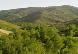 طبیعت بکر و دل&zwnj;پذیر در علم&zwnj;کندی + تصاویر