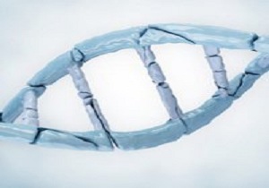 کار شبانه به توانایی بدن در ترمیم DNA آسیب می رساند