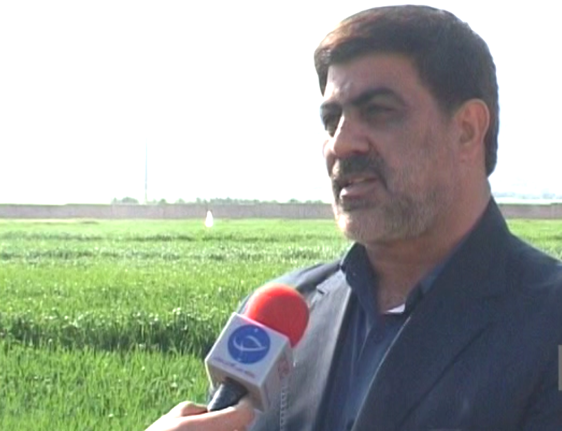 طرح گلخانه جهاد دانشگاهی، الگویی برای مدیریت صحیح مصرف آب