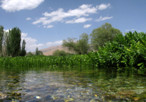 پیش بینی افزایش ابر و وزش باد ۱۳۹۶/۰۴/۰۸