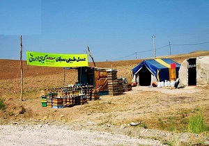 جمع‌آوری ۷ اکیپ غیرمجاز فروش عسل در جاده سرعین