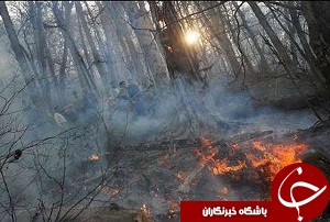 افزایش 2و نیم برابری آتش سوزی باغات محلات