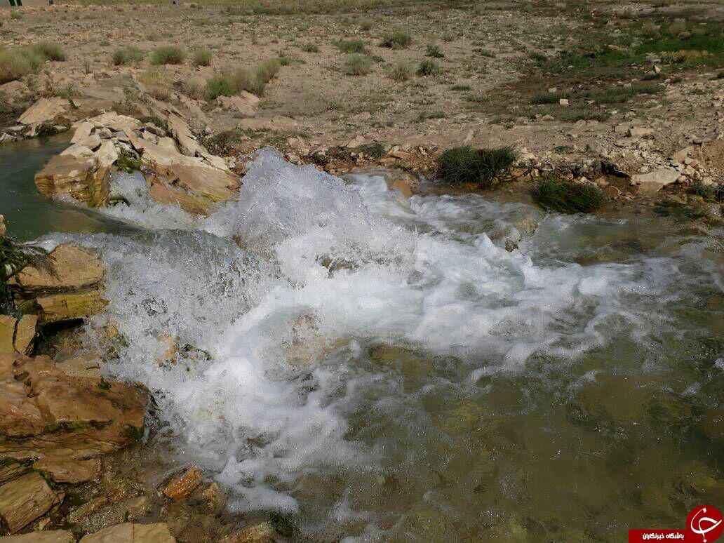 چشمه عاشق در قاب تصویر