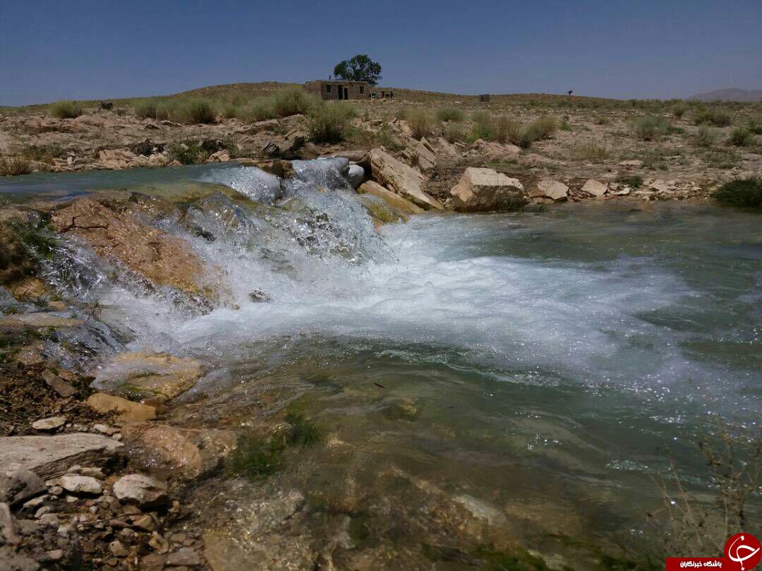 چشمه عاشق در قاب تصویر