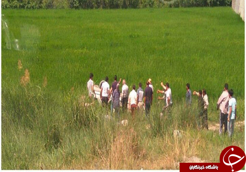 دو مصدوم در سانحه رانندگی +تصاویر
