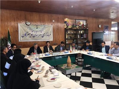 تکمیل استخر مجموعه ورزشی بانوان تویسرکان تا پايان سال