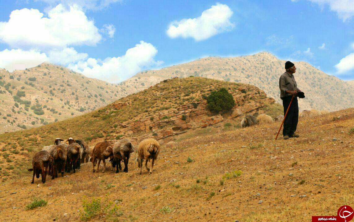 جلوه های زیبا از زندگی عشایر قوچان