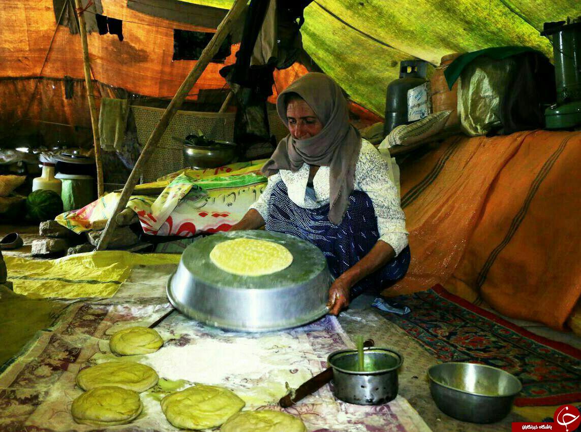 جلوه های زیبا از زندگی عشایر قوچان