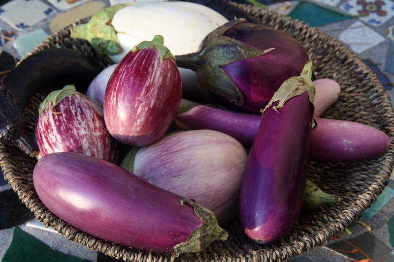 خواص بادنجان سیاه برای سلامتی