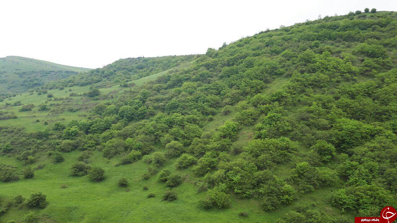 طبیعت زیبای دشت مغان در قاب تصویر