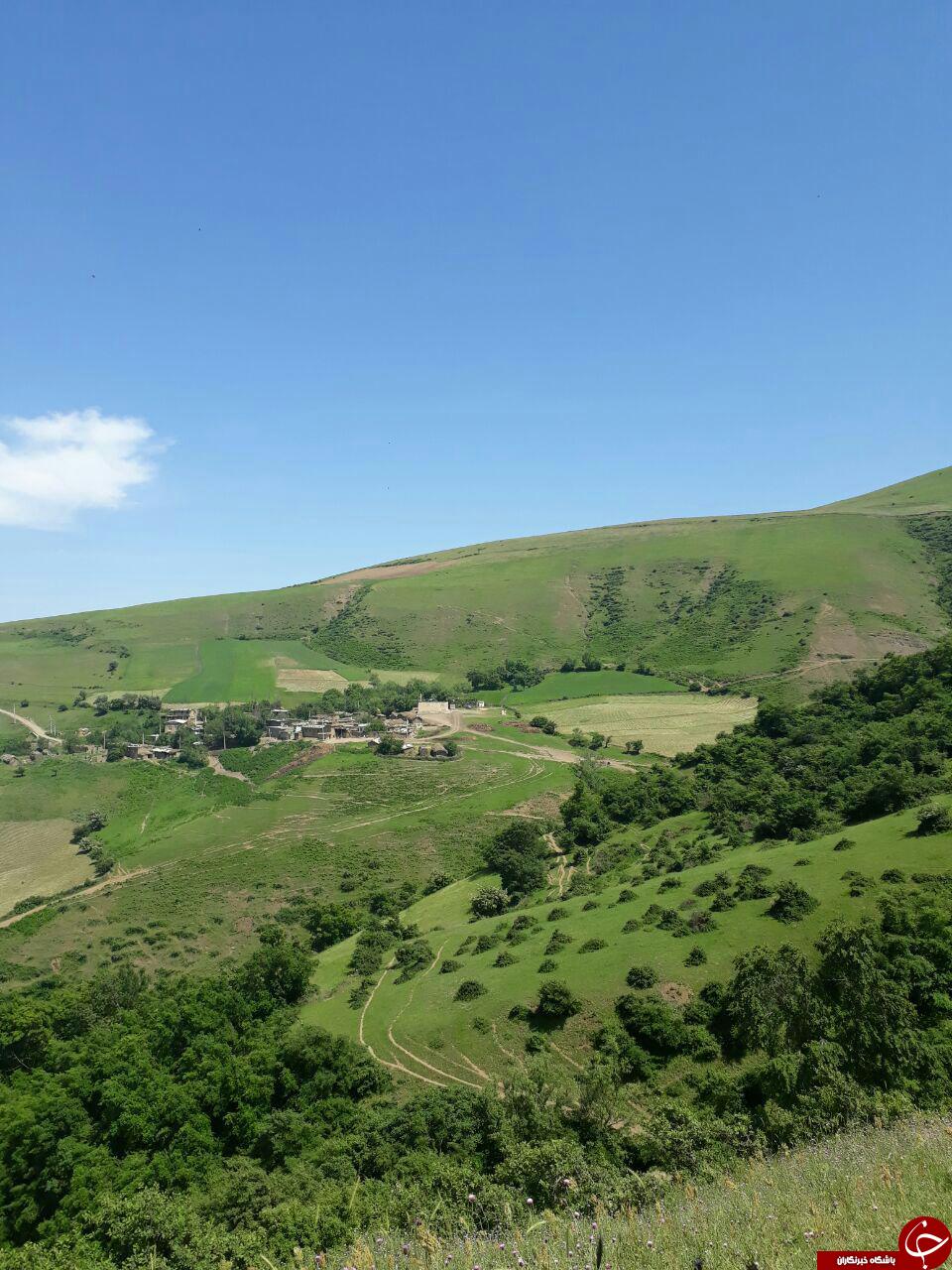 طبیعت زیبای دشت مغان در قاب تصویر