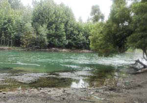 طبیعت سرسبز روستای &laquo;کته شور&raquo; + تصاویر