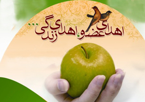 حیاتی دوباره با پیوند کلیه بیمار مرگ مغزی