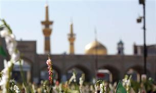گلباران حرم مطهر رضوی در شب میلاد "امام رضا (ع)"