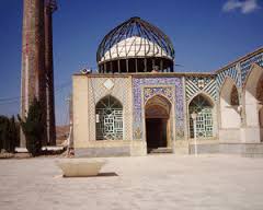 خادمان رضوی در امامزاده سلطان سید احمد&zwnj;(ع) ساردوئیه