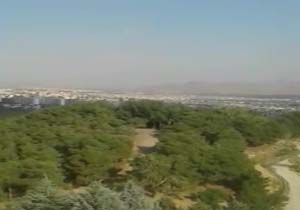 نمایی از جنگل زیبای لویزان + فیلم