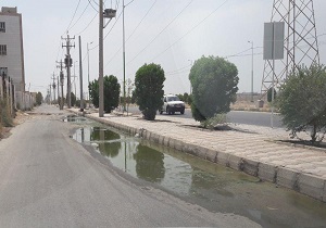 پربازدید