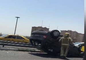 پربازدید