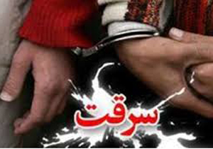 دستگیری سارقان ميلياردی منازل شاهين شهر