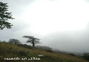 حدود حریم و ضوابط حفاظتی جنگل ابر ابلاغ شد