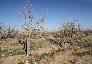 خراسان جنوبی،ششمین استان خشک کشور