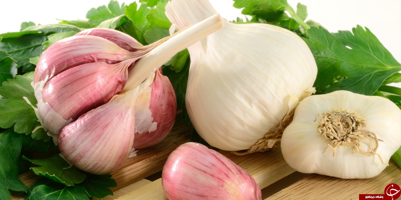۵ گیاه ضد ویروس عالی برای تقویت دستگاه ایمنی بدن