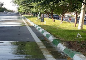آبیاری آسفالت بجای چمن در پایتخت + فیلم