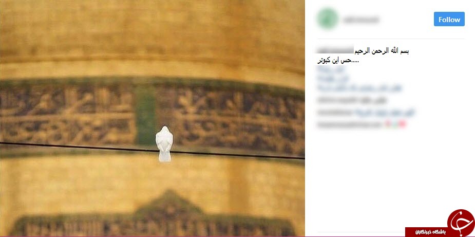 قرار فعالان فضای مجازی در دهه کرامت+تصاویر