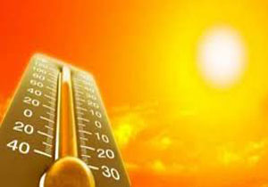 گرمازدگی جان پاکبان بندرعباسی را گرفت