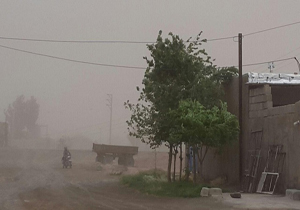 جان باختن چوپان گلستانی بر اثر توفان