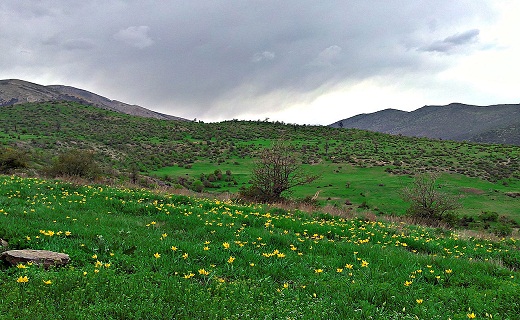 جنگل رودبارک مهدیشهر؛ بازمانده&zwnj;ی جنگل&zwnj;های هیرکانی+تصاویر