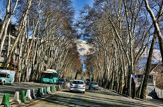 چهار پیشنهاد برای پیاده‌روی در تهران+ تصویر